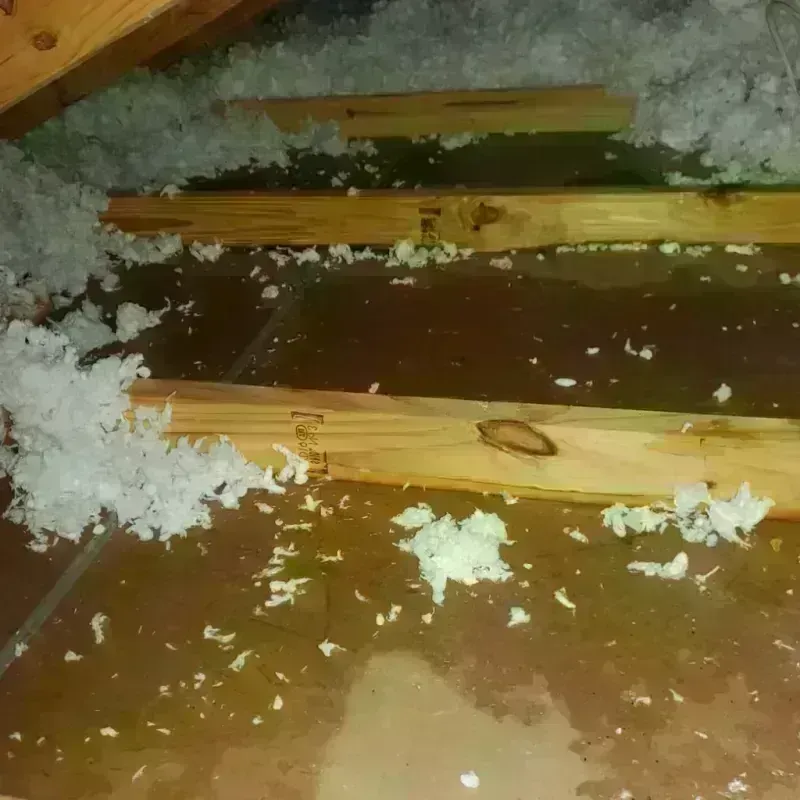 Attic Water Damage in Grand Forks, ND