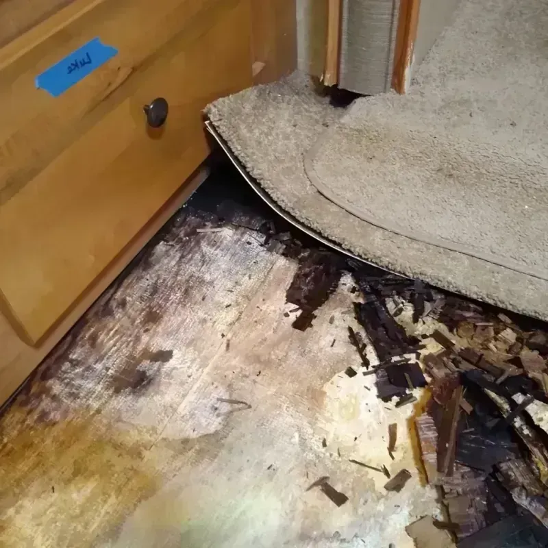 Wood Floor Water Damage in Grand Forks, ND